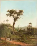 Benedito Calixto, Paisagem