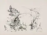 Roberto Burle Marx, Sem Título, 1989, nanquim sobre papel