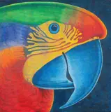 Papagalia by Claudio Tozzi, 1983, acrílico sobre tela, offered Dec 2014