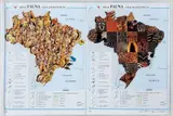 Nelson Leirner, Fauna Brasileira, livro com colagem montado em caixa de acrílico