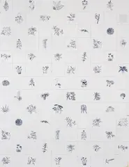Adriana Varejão, Panacea Phantastica, serigrafia sobre azulejo