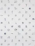 Adriana Varejão, Panacea Phantastica