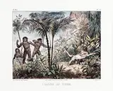Johann Moritz Rugendas, CHASSE AUX TIGRES, 1835, litografia aquarelada