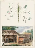 Philippe J. Benoit, IMAGENS DE INDÍGENAS, OBJETOS DE USO E ADEREÇOS III, 1839, litografia aquarelada