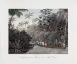 EXPEDIÇÃO FLUVIAL NUM BRAÇO DO RIO DOCE by Maximilian Von Wied-neuwied, 1820, gravura em metal, aquarelado, offered Jun 2014