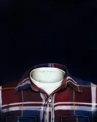 Camisa by Mauro Piva, 2011, óleo sobre tela, offered May 2014