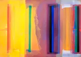 Carlos Vergara, Sem Título, 1992, óleo sobre tela