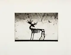 Carbono by Alex Cerveny, 1988, litogravura sobre papel, offered Mar 2014
