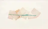 Ernesto Neto, Elefantes, 1995, técnica mista sobre papel