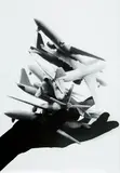 Regina Silveira, Aviões, 2012, fotogravura sobre papel