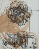 Flavio Shiro, Cafegrafia