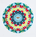 Damien Hirst, Borboletas