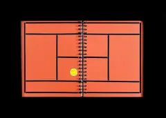 Nelson Leirner, Quadra de Tênis, 2007, técnica mista