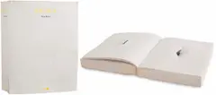 Balada by Nuno Ramos, 1995, livro, pólvora e bala, offered Nov 2013