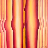 Antonio Henrique Amaral, Torsos in Red