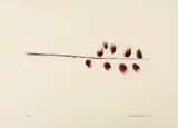 Galho by Aldemir Martins, 1995, gravura em metal sobre papel, offered Nov 2013