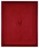 Frans Krajcberg, Relevo