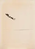 Mira Schendel, Paisagem 14