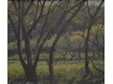 José Malanca, Paisaje de Córdoba, Oleo sobre tela