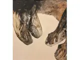 Josefina Robirosa, Mujeres sentadas, Oleo sobre tela