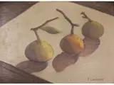 Fortunato Lacámera, Frutas
