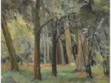 Próspero Lopéz Buchardo, Bosque sombrio, Oleo sobre tela