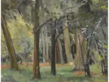 Próspero Lopéz Buchardo, Bosque sombrio, Oleo sobre tela