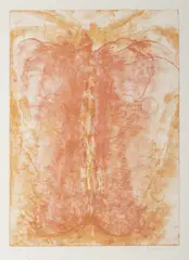 Adriena Šimotová, Untitled, 1992, Coloured lithography, paper