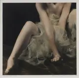 Brigitte Carnochan, Auktion 104, Los 7, 1996-1997, Handkolorierter Gelatinesilberabzug