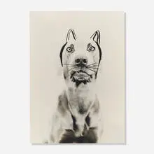 Ray Cat for Holly Solomon Gallery by William Wegman, 1978, gelatin silver print, sold Mar 2022