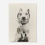 William Wegman, Ray Cat for Holly Solomon Gallery, 1978, gelatin silver print