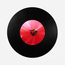 Michael Katz, Flower, c-print mounted on acrylic