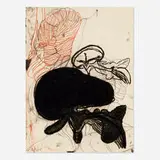 Terry Winters, Untitled (from the BAM I: Brooklyn Academy of Music 125th Anniversary portfolio), 1986, lithograph in colors on Arches