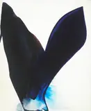 Phenomena Blue Span by Paul Jenkins, 1962, oil on canvas, sold May 2007