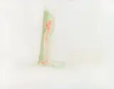 Bruce Nauman, Study for the Right Half of My Body Carved into a Tree