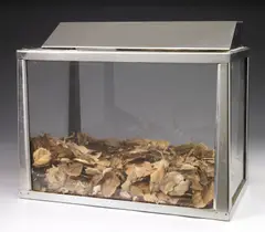 Allen Ruppersberg, Untitled (Aquarium), 1969, metal, glass, leaves, and dirt