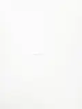 James Lee Byars, 100?'s