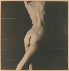 Ron Cooper, Torso, 1980, gelatin silver print