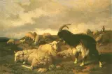 Louis Robbe, Na pastwisku, olej, płótno