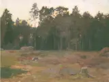 Teodor Ziomek, Na porębie