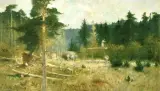 Apoloniusz Kędzierski, Wyrąb lasu