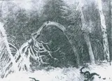 Leon Wyczółkowski, Zawieja w puszczy