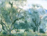 Stanisław Grabowski, Gaj oliwny, tempera, gwasz, karton