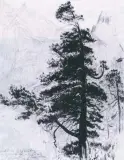 Leon Wyczółkowski, Limba na tle Mnicha