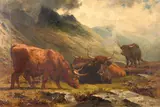 Alfred Grey Rha, Highland Cattle, Oil on Canvas