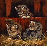 Keith Glasgow, Three Kittens, Oil on Board