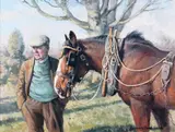 Rosemary Susan Welch, Critical Liberties, Seaforde, Co. Down, Oil on Canvas