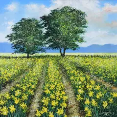 Andy Saunders, Daffodil Fields, Oil on Board Enquire