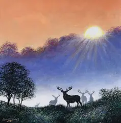 Andy Saunders, Stags at dusk, Oil on Board Enquire