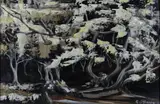Geraldine O'Brien, Trees